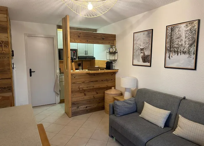 Studio 4 Personnes Renove La Rosiere